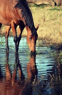 KEEPING YOUR COOL & HYDRATED THIS SUMMER