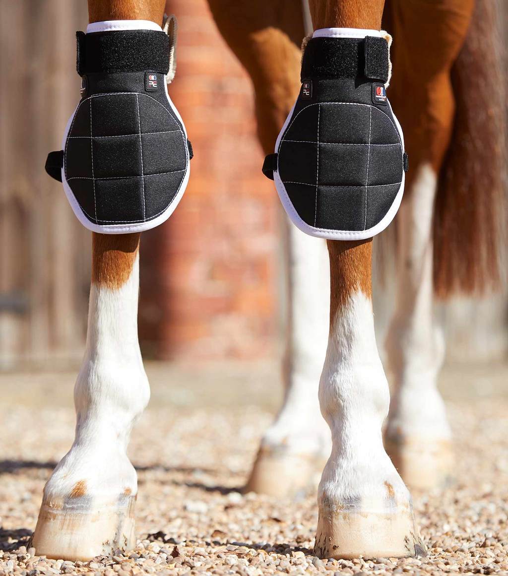 Magnetic hoof boots best sale