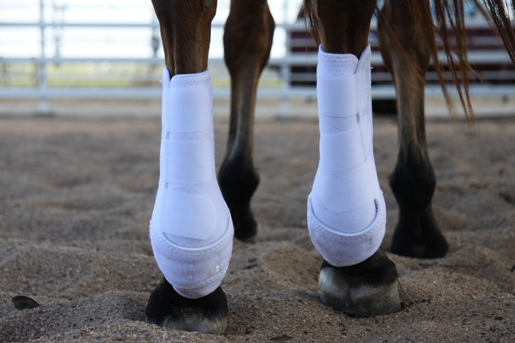 ProVent Tendon Boot Hind
