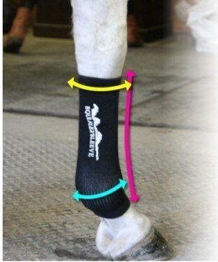 Chaussettes Contention Cheval : Innovation Equi Flexsleeve